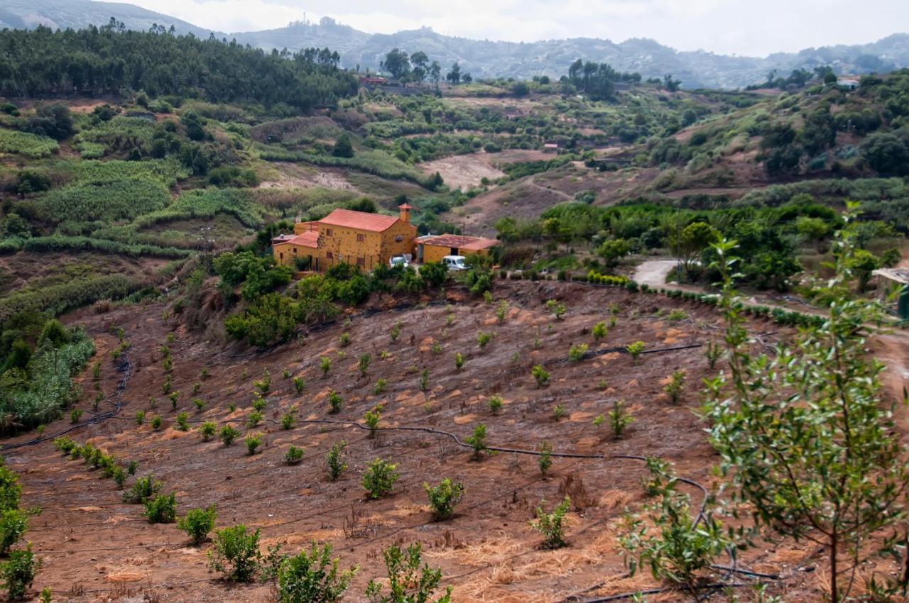 Las Casas De Lola Y Rafael Moya  Buitenkant foto